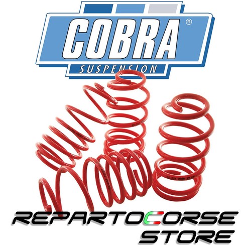 Springs cobra ford focus 5 - cobra,