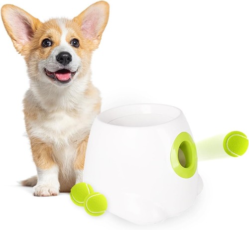 All for paws automatic - paws,